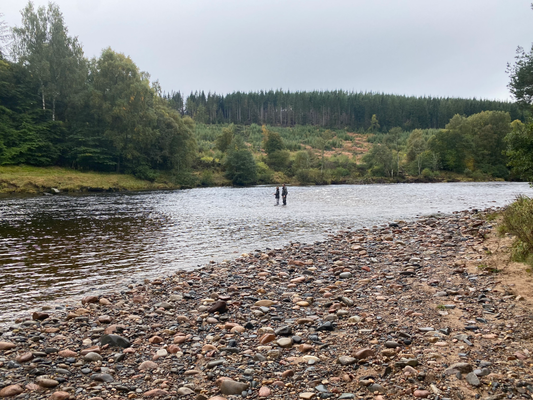 Back end Salmon fishing in the UK